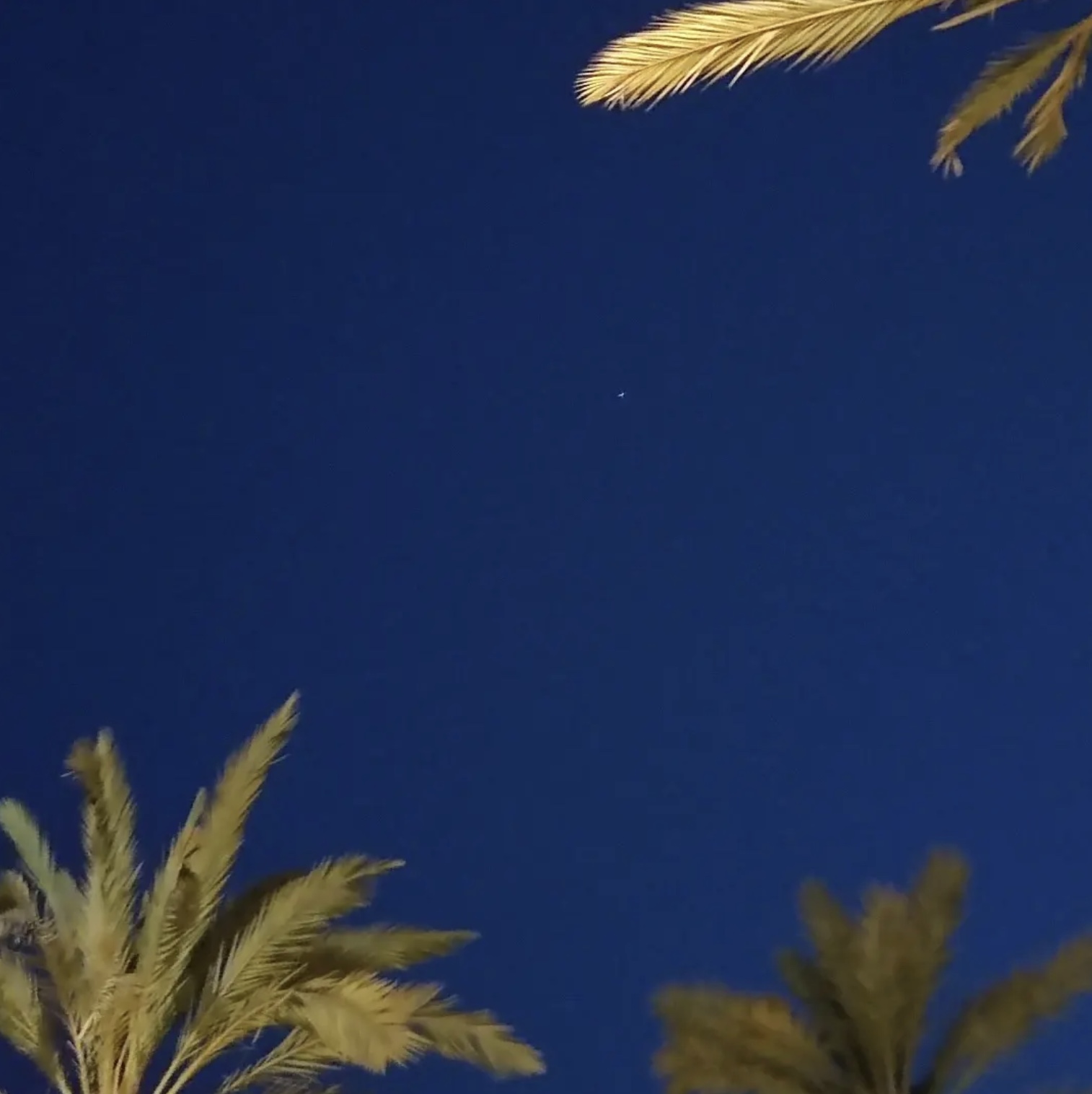 la luna y el sol